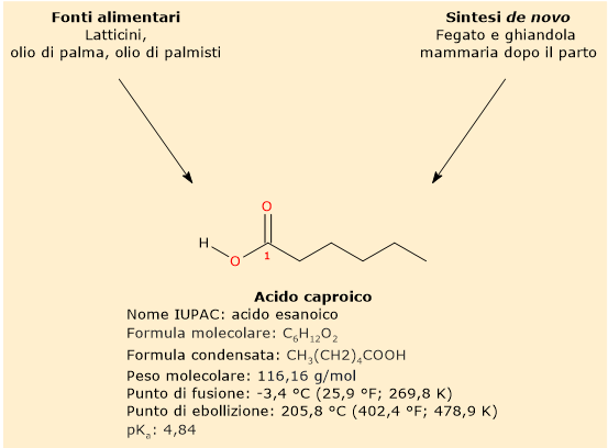 Proprietà chimiche, formula di struttura, fonti alimentari e sintesi dell'acido caproico.