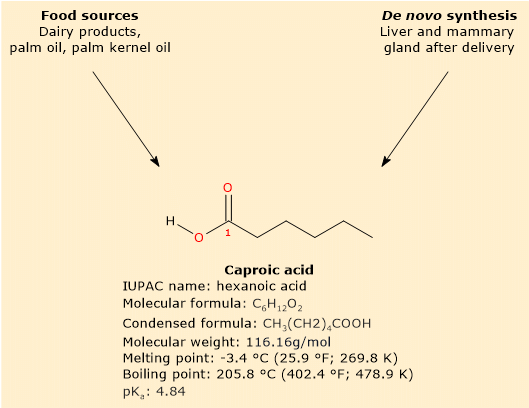 Chemical properties, skeletal formula, food sources, and synthesis of caproic acid.