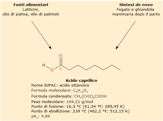 Formula di struttura, proprietà chimiche, fonti alimentari e sintesi dell'acido caprilico.