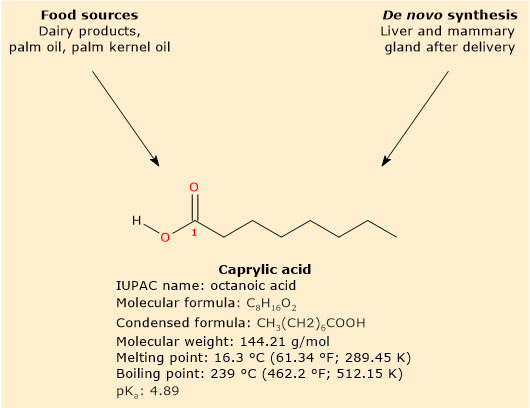 Skeletal formula, chemical properties, sources, and biosynthesis of caprylic acid.